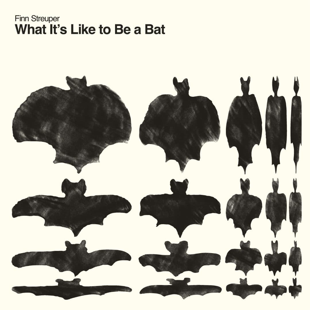What It’s Like to be a Bat